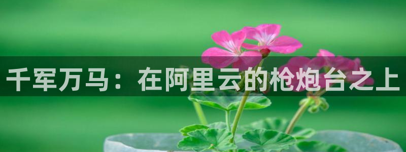 千军万马：在阿里云的枪炮台之上