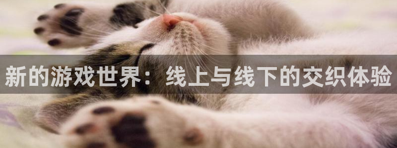 k8凯发天生赢家一触即发