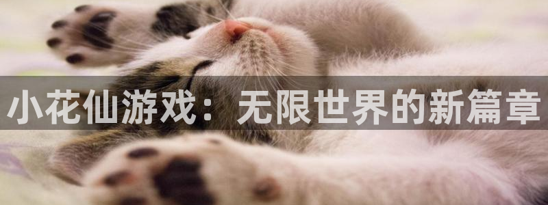 k8凯发·体育(中国)天生赢家：小花仙游戏：无限世界的新篇章