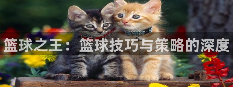 k8凯发·娱乐(中国)首页登录入口：篮球之王：篮球技巧与策略