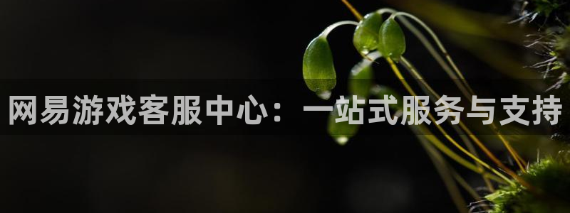 k8凯发集团简介