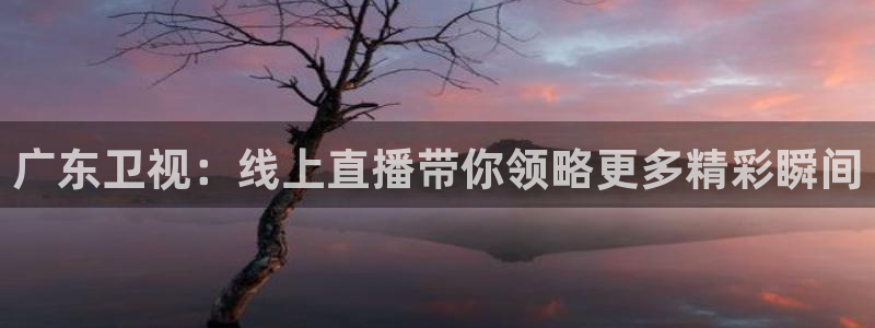 9255tv直播nba在线直播