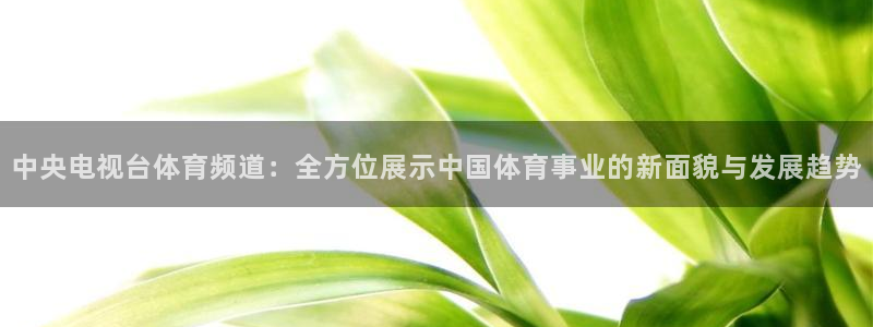 9255tv直播无插件nba：中央电视台体育频道：全方位展示中国体育事业的新面貌与发展趋势