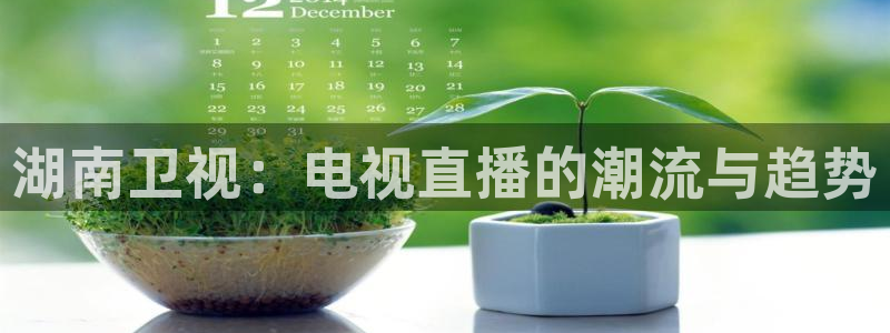9255tv直播无插件nba