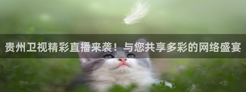 9255tv直播nba在线直播：贵州卫视精彩直播来袭！与您共享多彩的网络盛宴