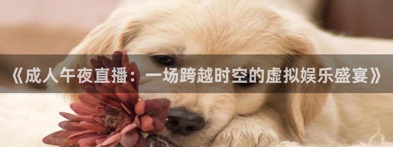 9255tv直播nba在线直播：《成人午夜直播：一场跨越时空的虚拟娱乐盛宴》