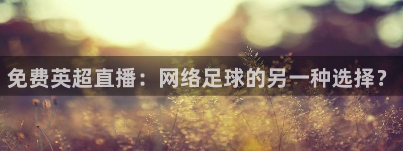 9255tv直播无插件nba：免费英超直播：网络足球的另一种选择？
