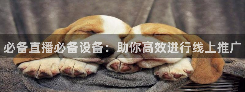 9255tv直播无插件nba：必备直播必备设备：助你高效进行线上推广