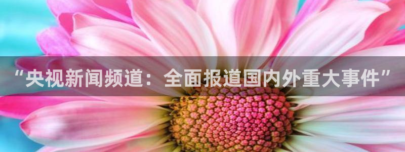 9255tv直播nba在线直播：“央视新闻频道：全面报道国内外重大事件”