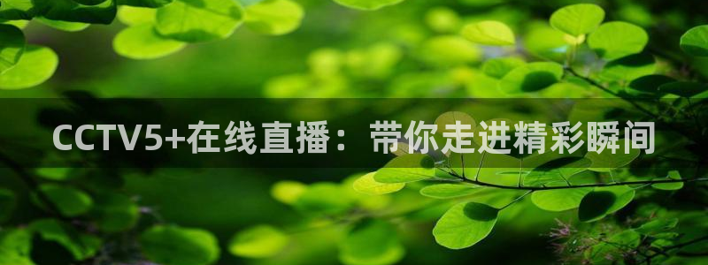 9255tv直播无插件nba：CCTV5+在线直播：带你走进精彩瞬间