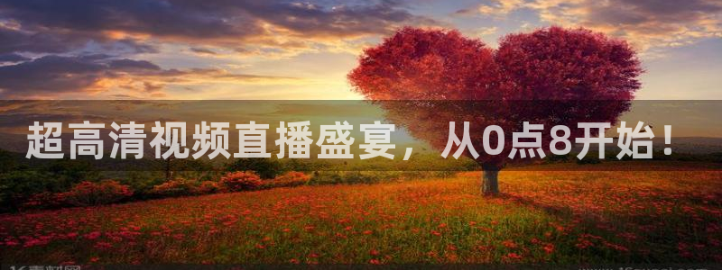 9255tv直播nba在线直播：超高清视频直播盛宴，从0点8开始！