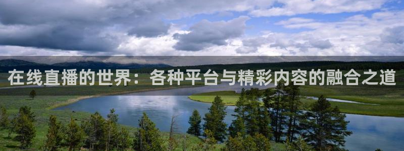 9255tv直播无插件nba：在线直播的世界：各种平台与精彩内容的融合之道
