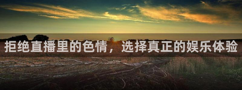 9255tv直播nba在线直播